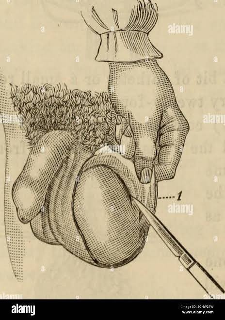 Master Red tweet media