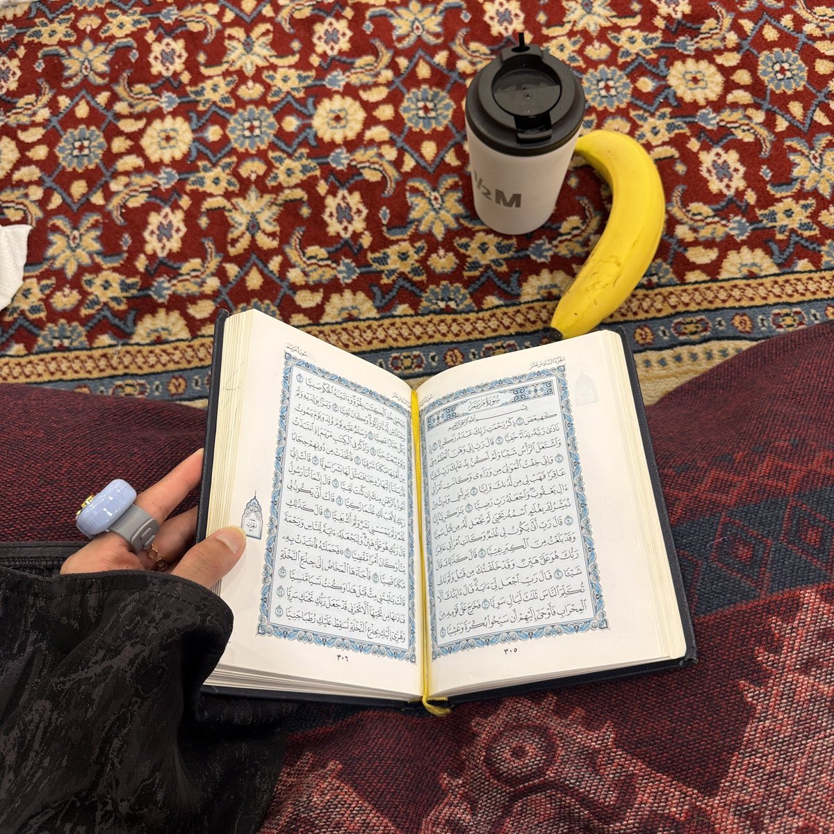 مــدى tweet media