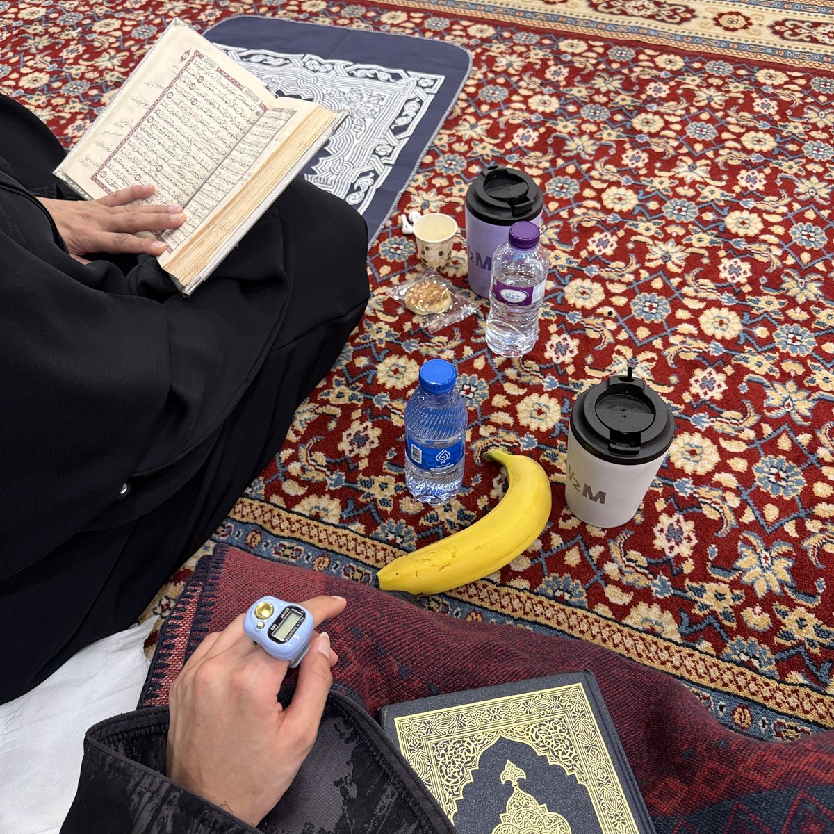 مــدى tweet media