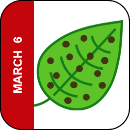 UWPDDC's tweet photo. The 3/6/26 Wisconsin Disease Almanac (a summary of the week’s disease diagnoses at the PDDC) is now available on the PDDC website at https://t.co/FLJiWa2Gfz. https://t.co/t36FAUL9iw