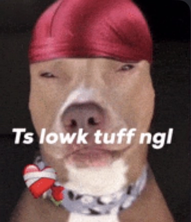 PLCR 🇵🇱🦅 tweet media