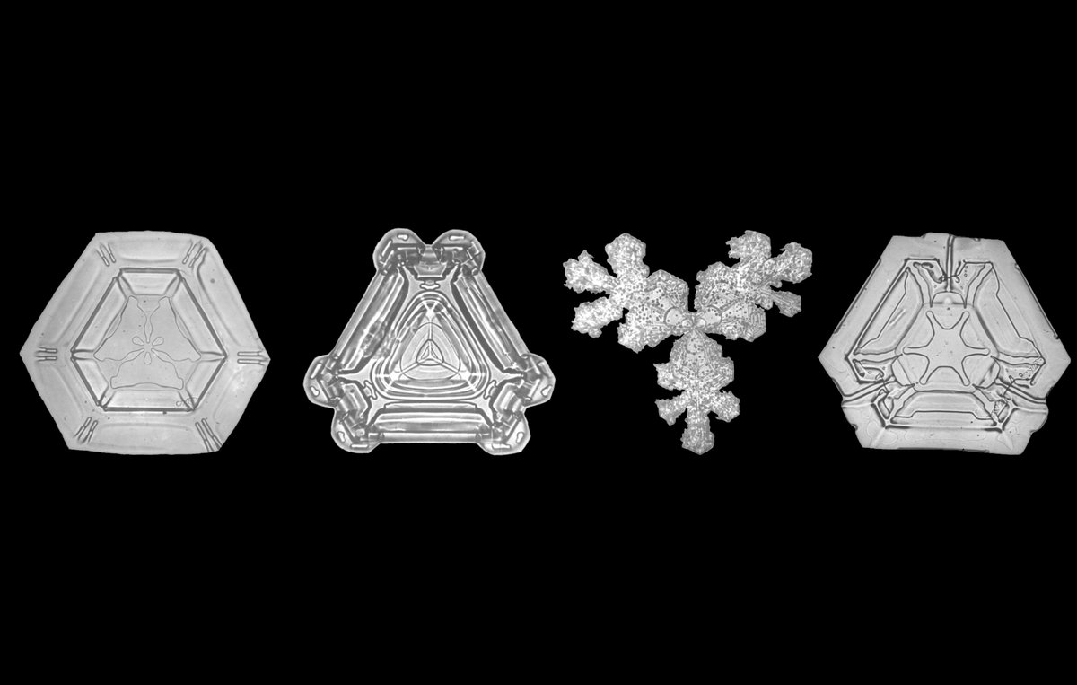 Triangular snowflakes, i.e. snow crystals, photographed by Bentley, W ...
