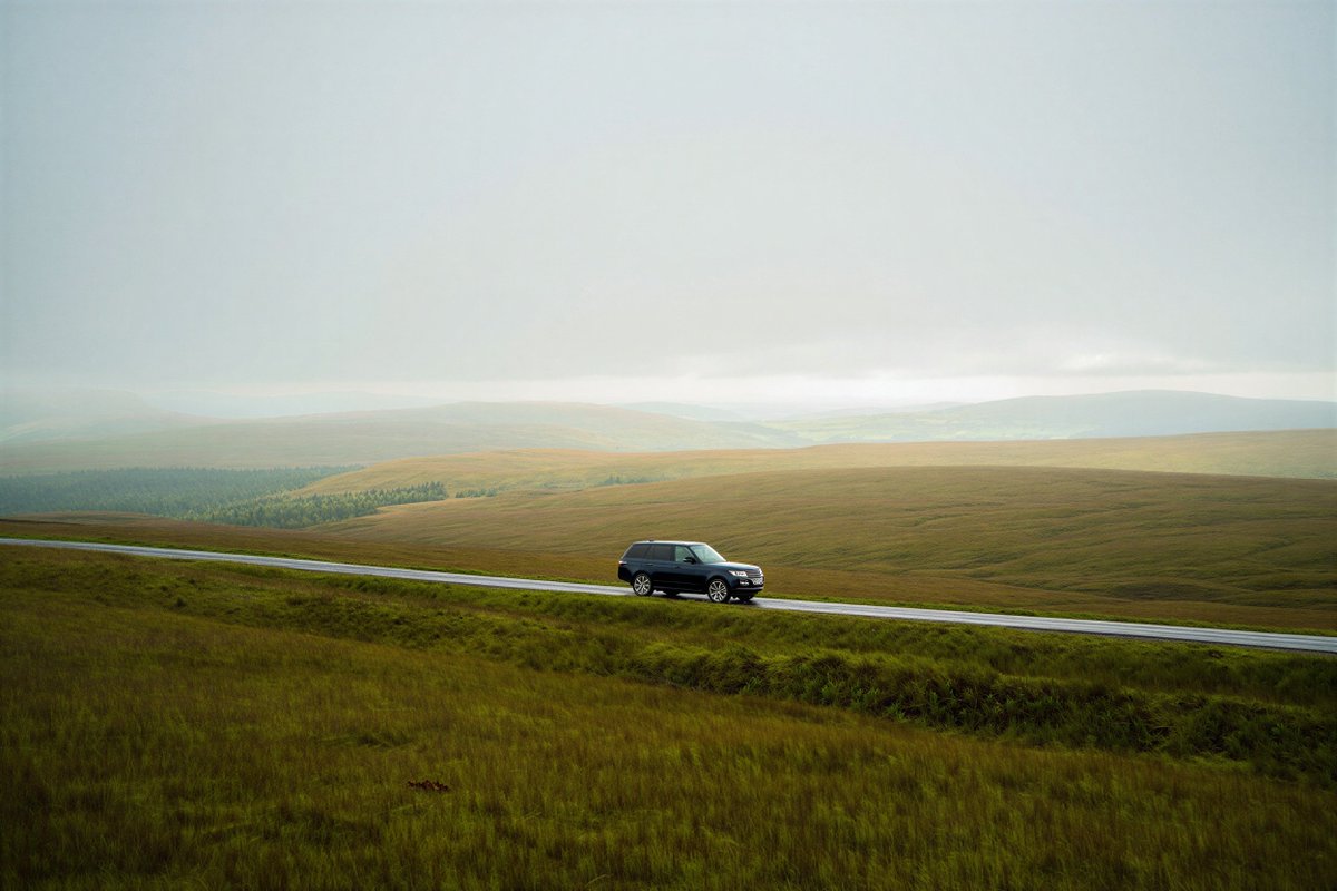 Bernardo Lickfold tweet media