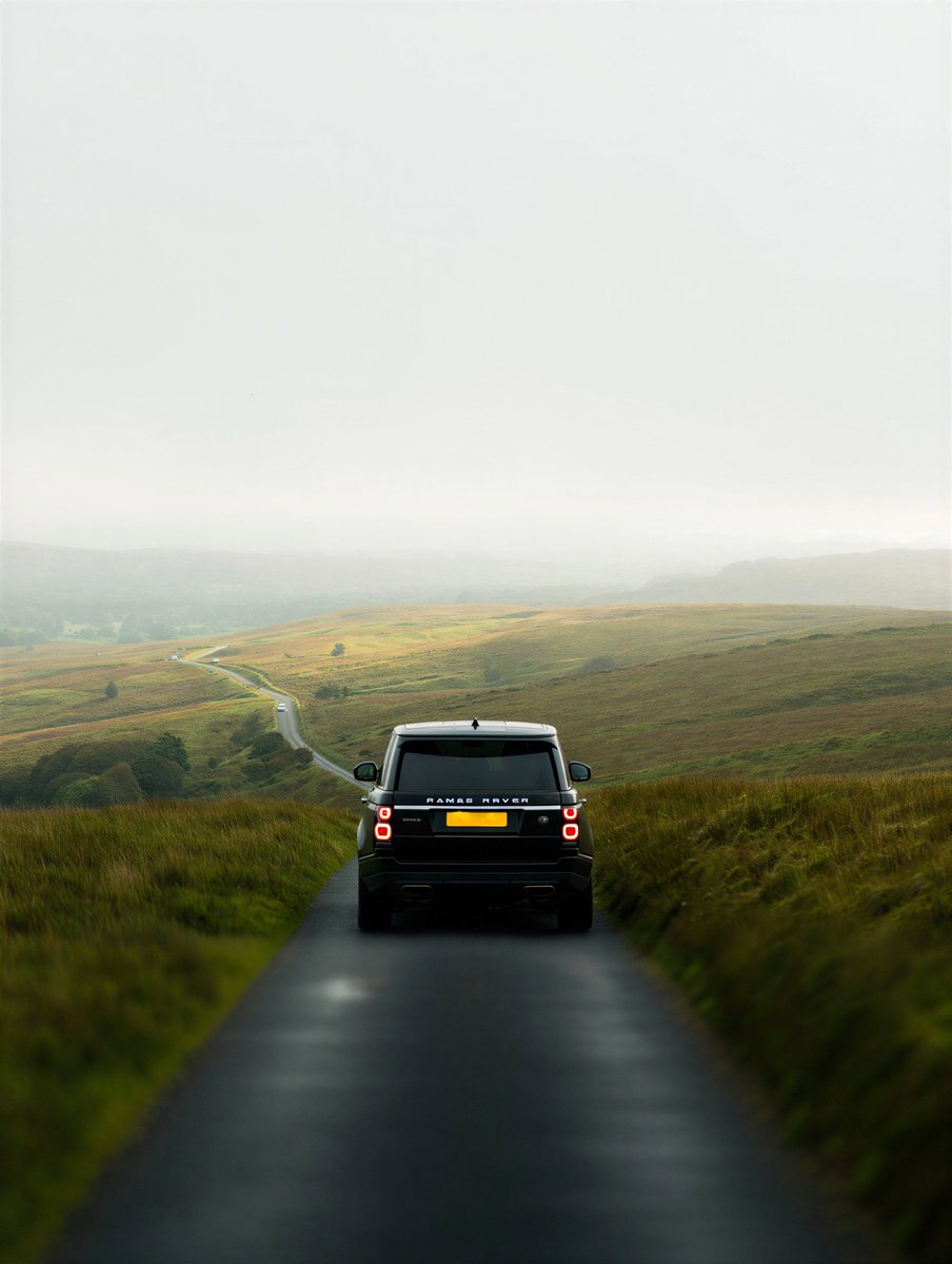 Bernardo Lickfold tweet media