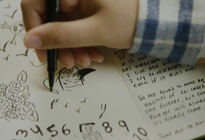 Colorado Ceasefire tweet media