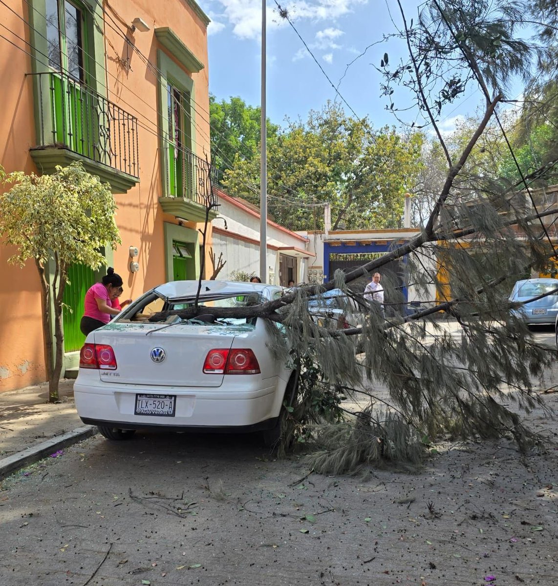 Imagen_Oax's tweet image. #FOTOREPORTE 📸 |  Rama de árbol cae sobre vehículo por fuertes vientos en #Oaxaca

➡️ Debido a las fuertes ráfagas de viento registradas la mañana de este jueves, una rama de árbol cayó y dañó un vehículo particular que se encontraba estacionado en calles de #Oaxaca de Juárez.