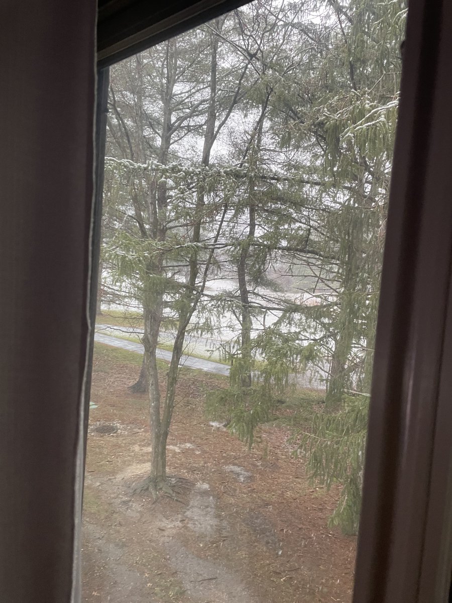 Jersey Turkey tweet media