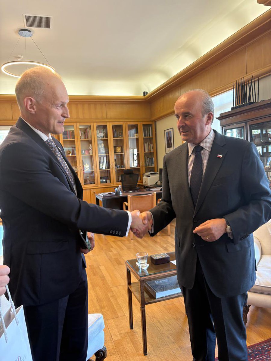 PLenChile tweet media