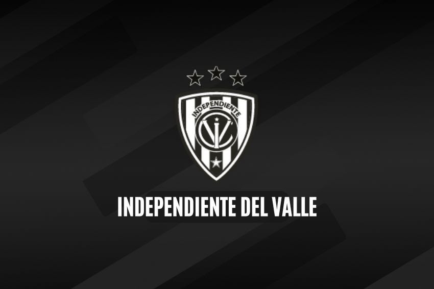 ✅ OFICIAL

Independiente del Valle generó los siguientes recursos por año:

- 2022: $35,1 Millones
- 2023: $46,7 Millones
- 2024: $38,6 Millones