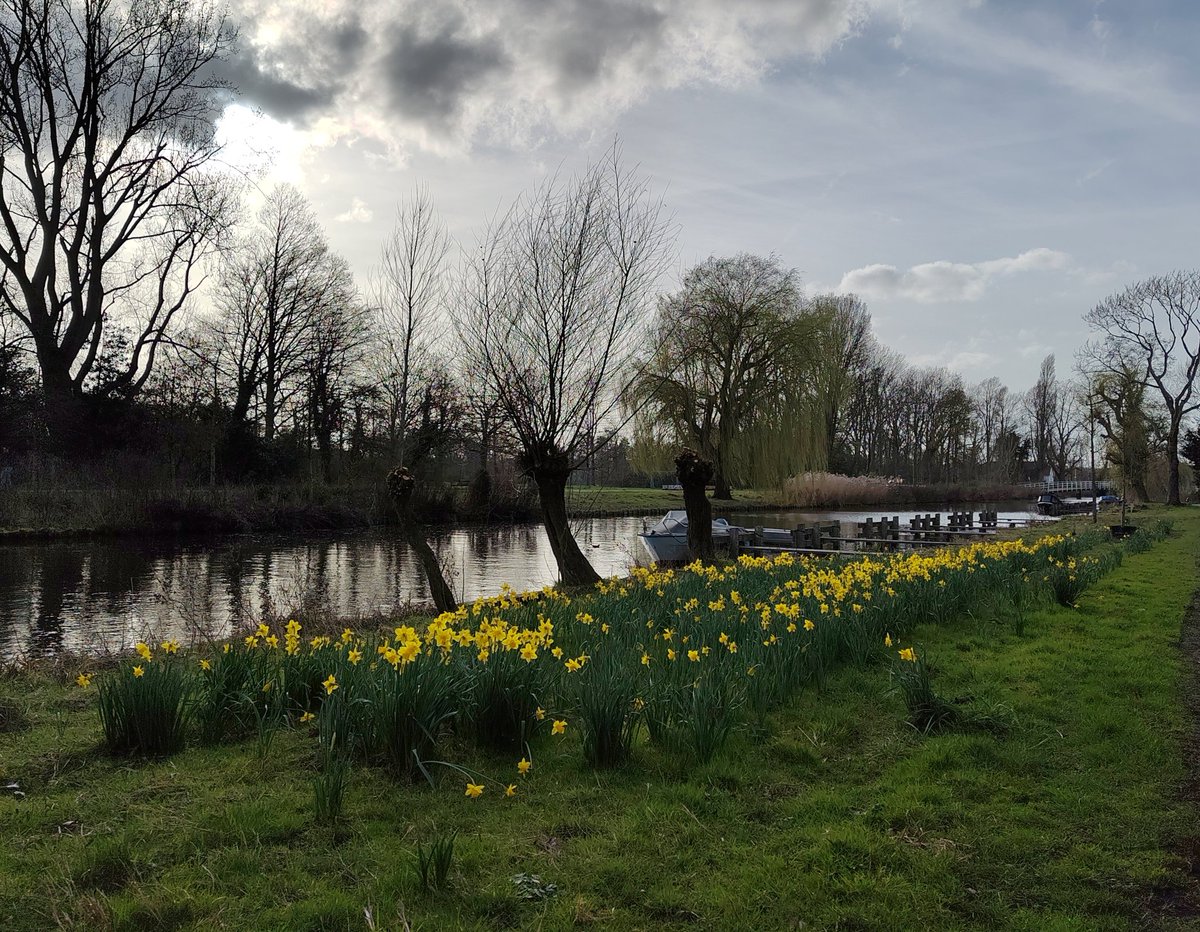 vrijezangvogel's tweet photo. Mijn fotos #Vandaaggemaakt gaan over #fleurop met narcissen,zon,Wind ๐ฌ๏ธ en wolken! #welterusten of #goedemorgen en alvast #GoedWeekend. Mijne is gevuld met #muziek!๐ถ๐ถ https://t.co/2nrA1SfPSg