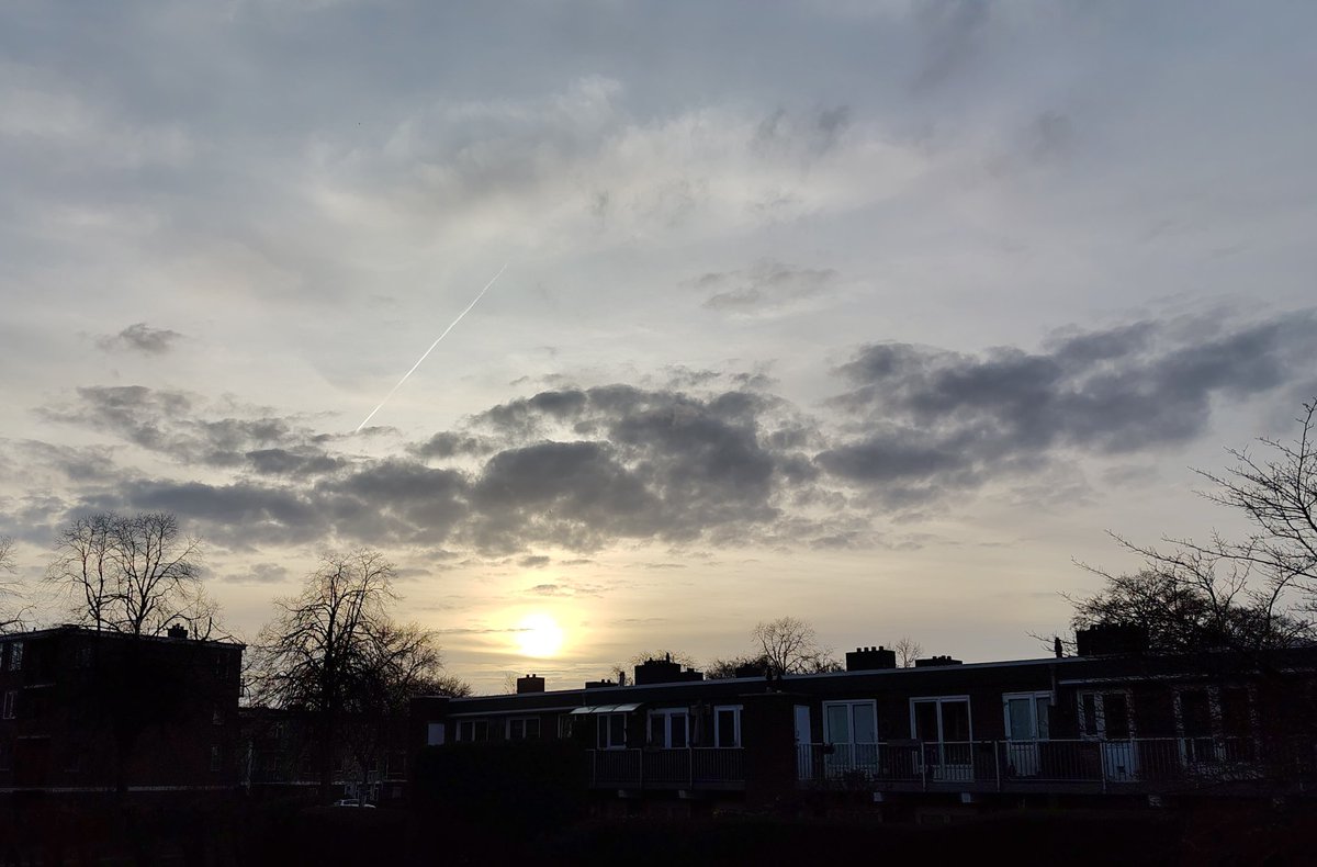 vrijezangvogel's tweet photo. Mijn fotos #Vandaaggemaakt gaan over #fleurop met narcissen,zon,Wind ๐ฌ๏ธ en wolken! #welterusten of #goedemorgen en alvast #GoedWeekend. Mijne is gevuld met #muziek!๐ถ๐ถ https://t.co/2nrA1SfPSg