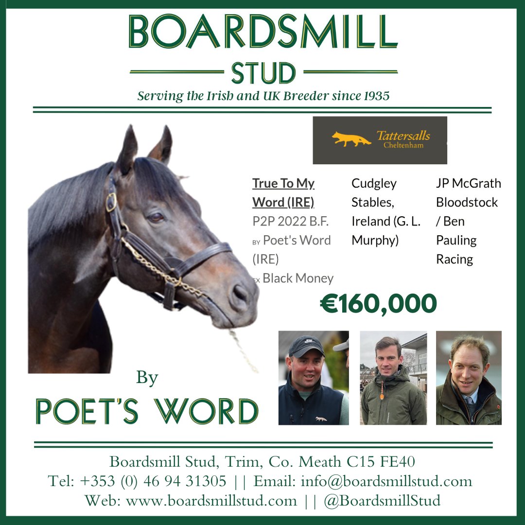 Boardsmill Stud tweet media