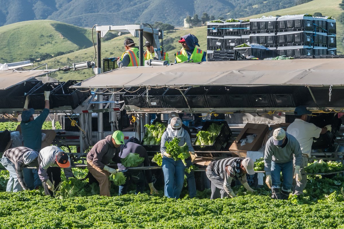 County of Santa Clara tweet media