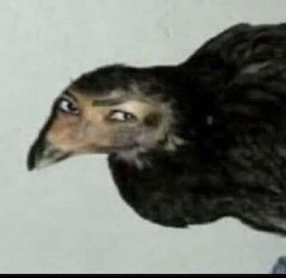 Eis que eu já to assim de saúde