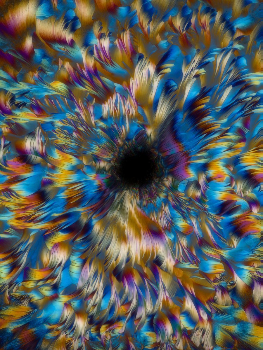 focuspirate tweet media