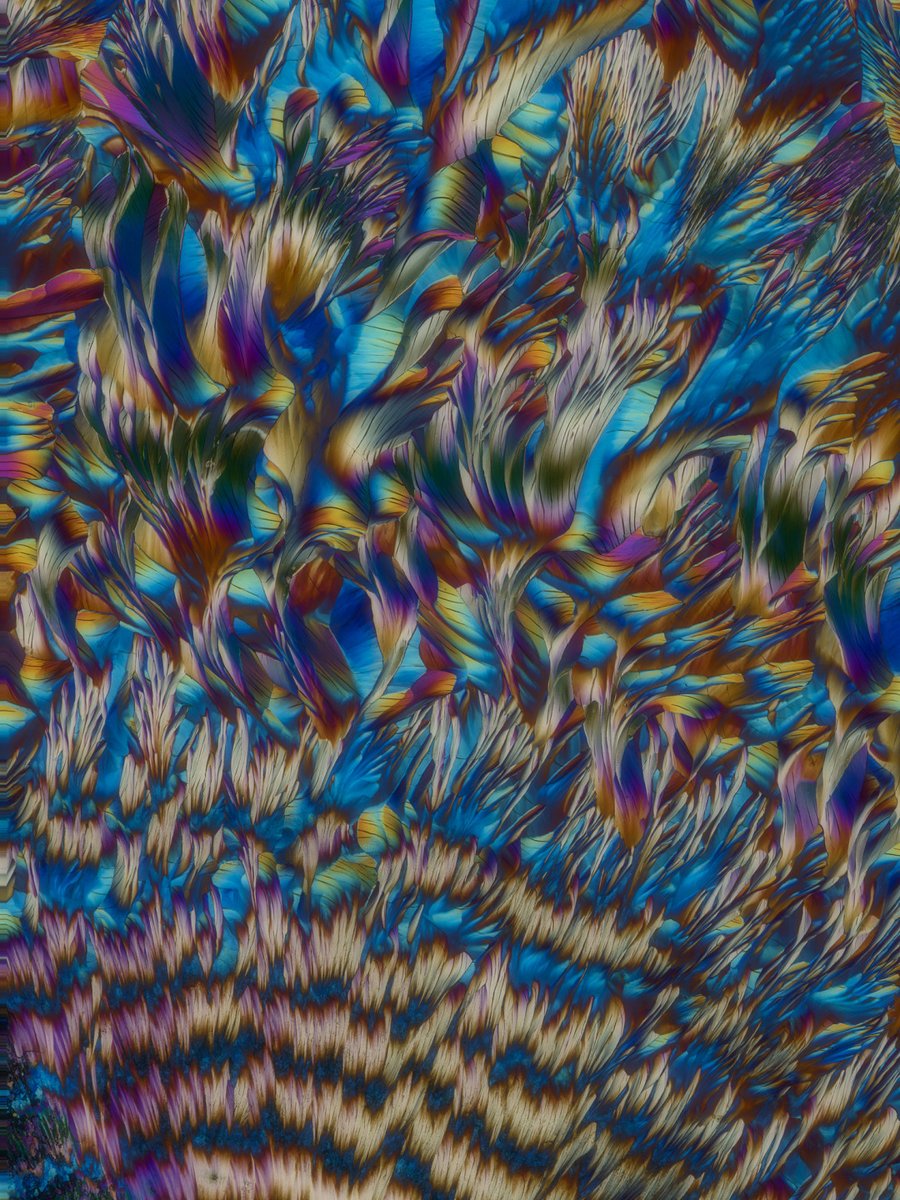 focuspirate tweet media