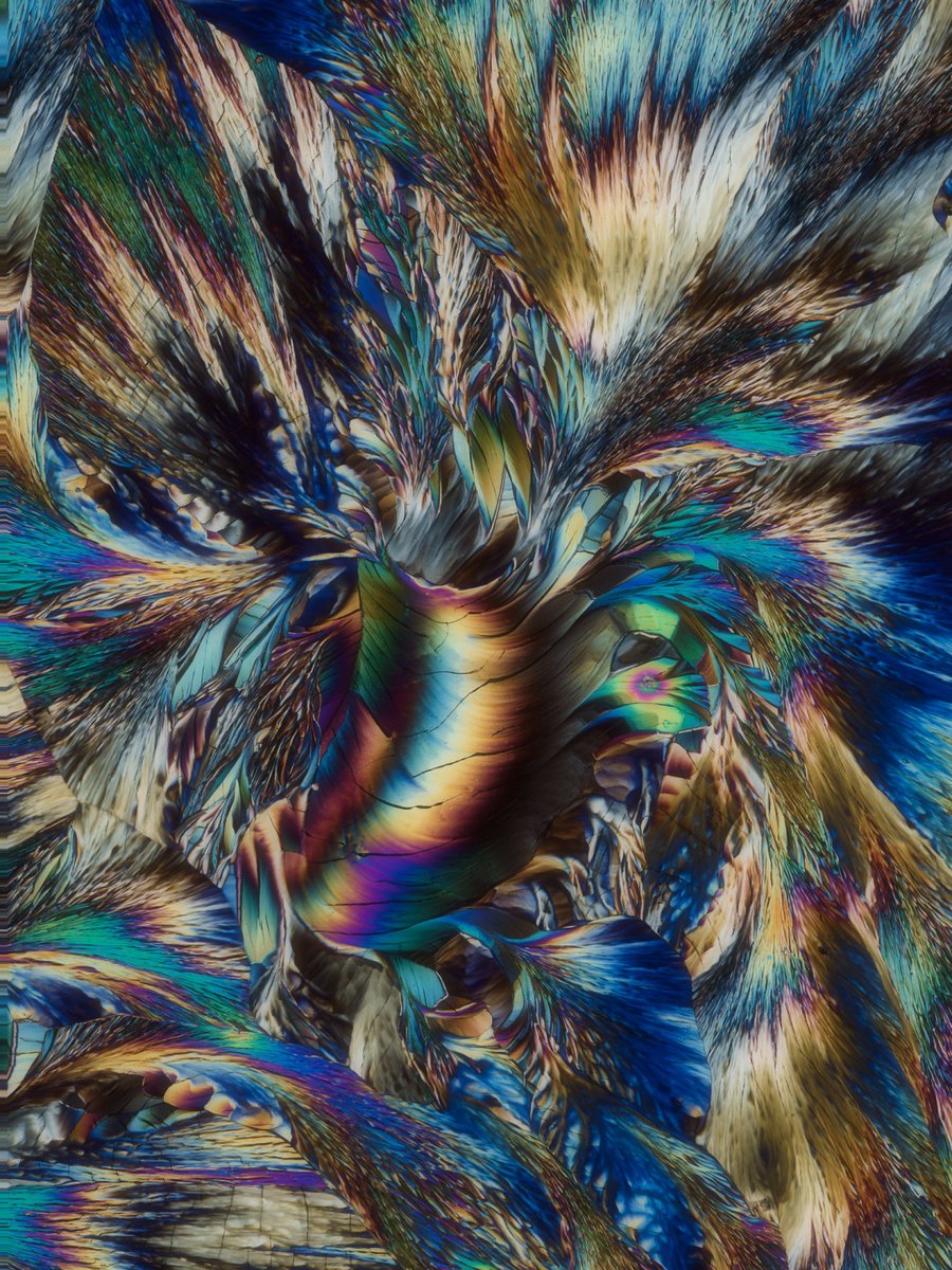 focuspirate tweet media