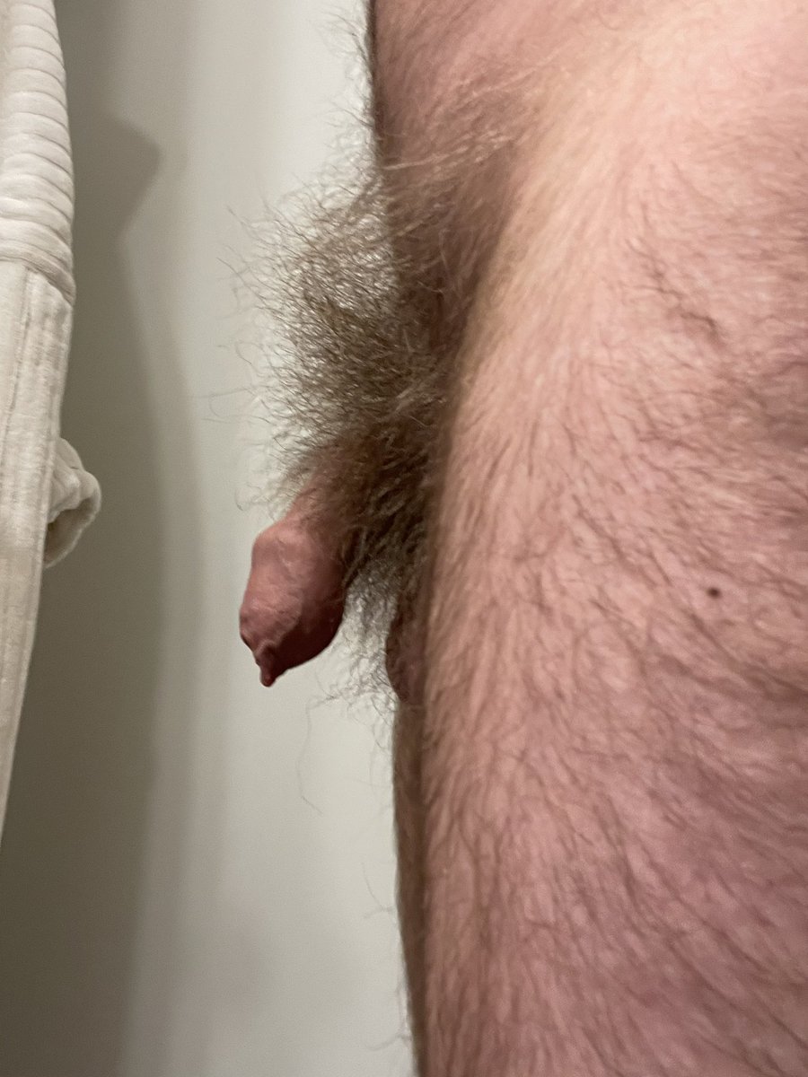 Will Blunderfield tweet media