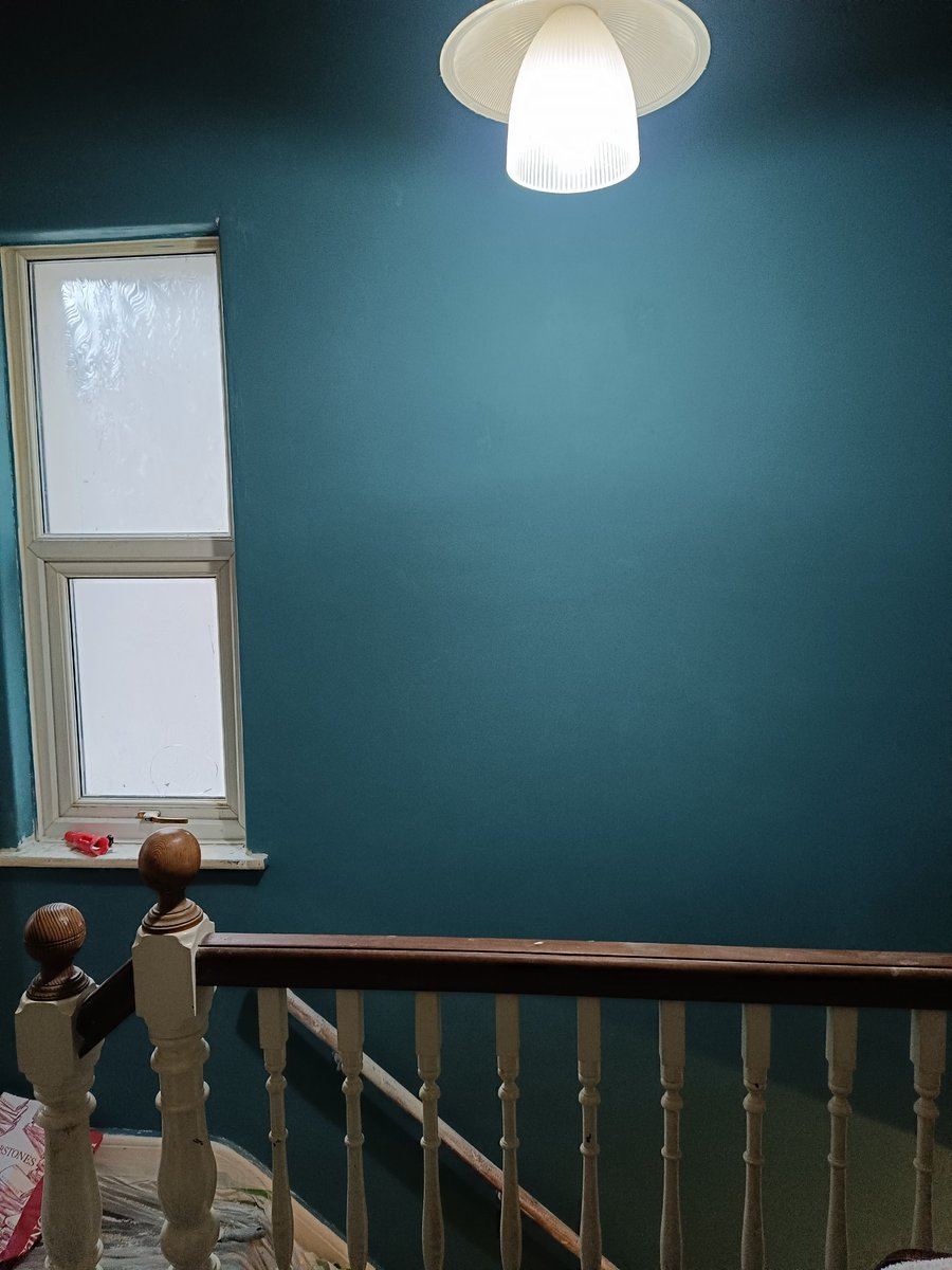 Todd Tolansky tweet media