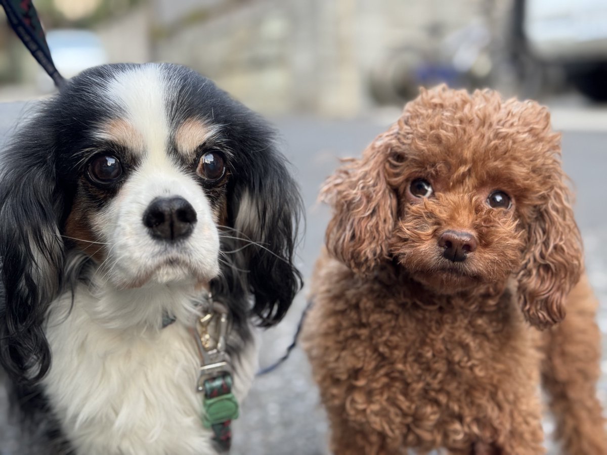 門田充宏 / Mitsuhiro Monden tweet media