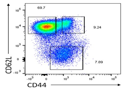 محمد هثل | Senior tweet media
