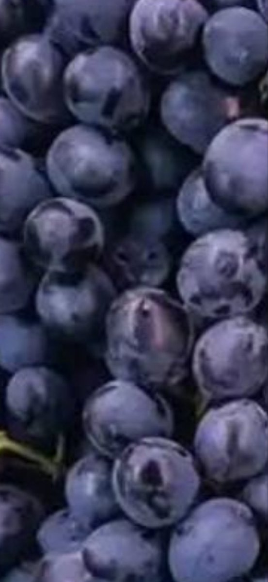 Tristen Burkle tweet media