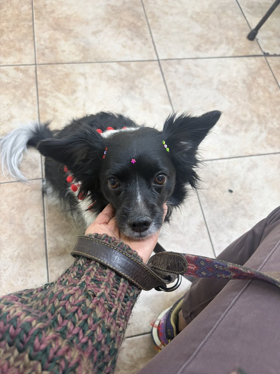 PAU PAU 🫧 tweet media