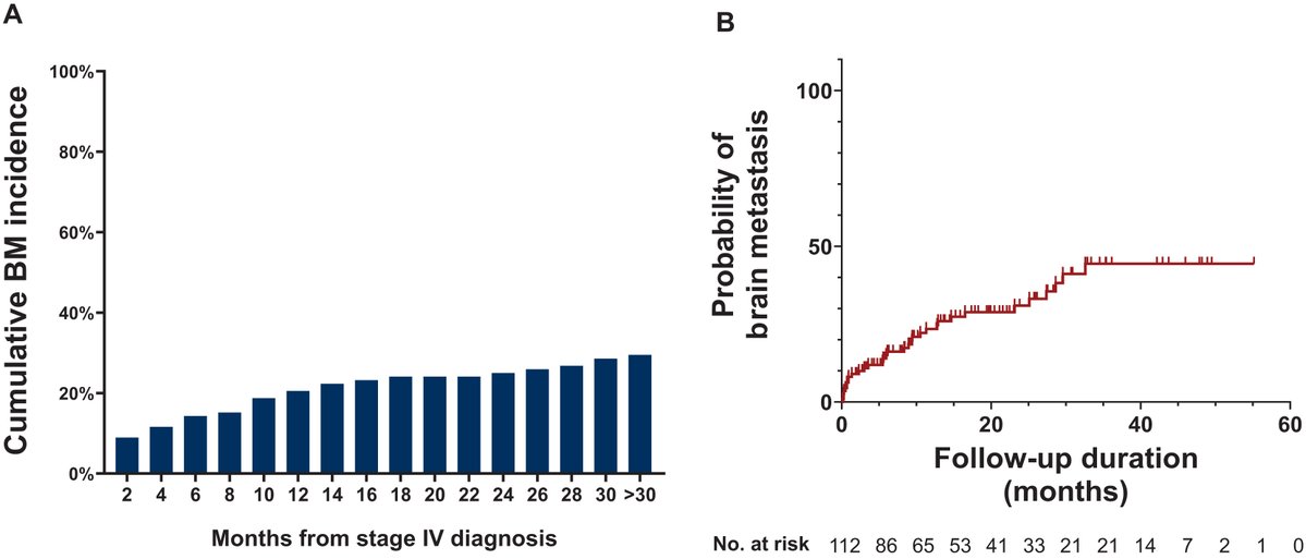 Oscar Tahuahua tweet media