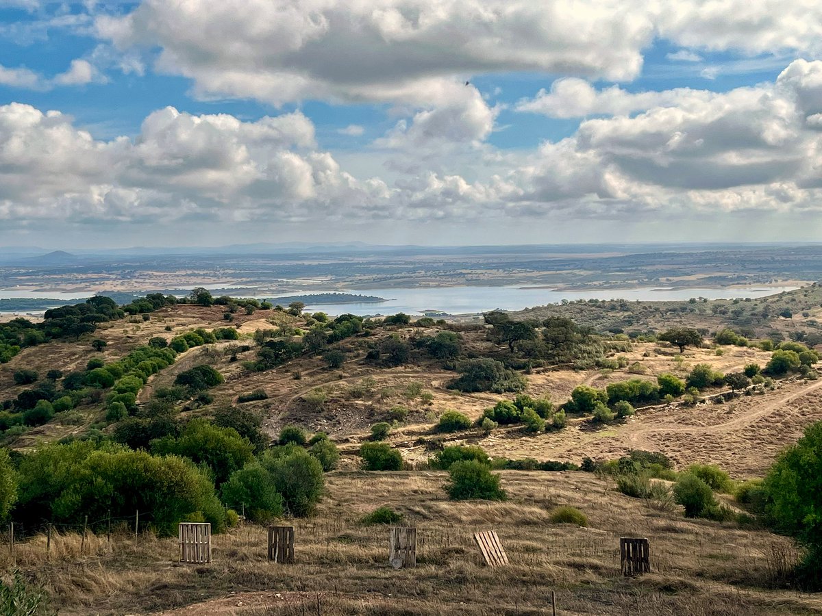 lizzie_hubbard2's tweet image. The stunning #views from the beautiful, hilltop village #Monsarez in the #Alentejo region of #Portugal 🇵🇹😍🇵🇹 

#VisitPortugal #BestOfPortugal