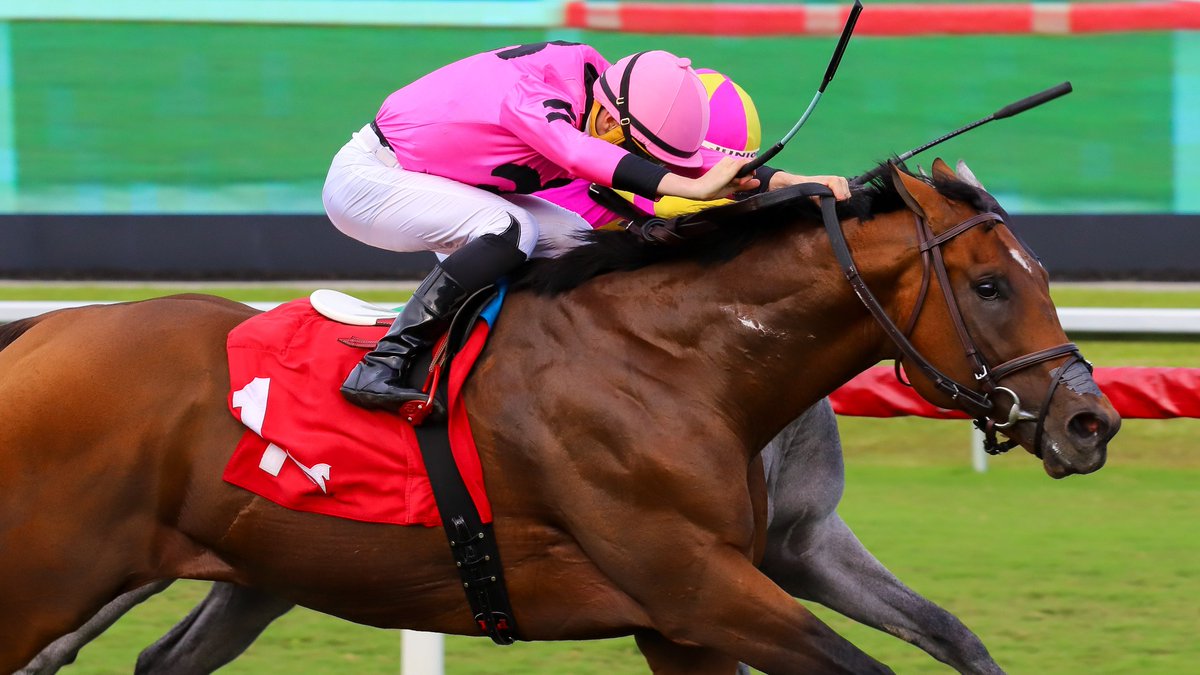 Gulfstream Park tweet media