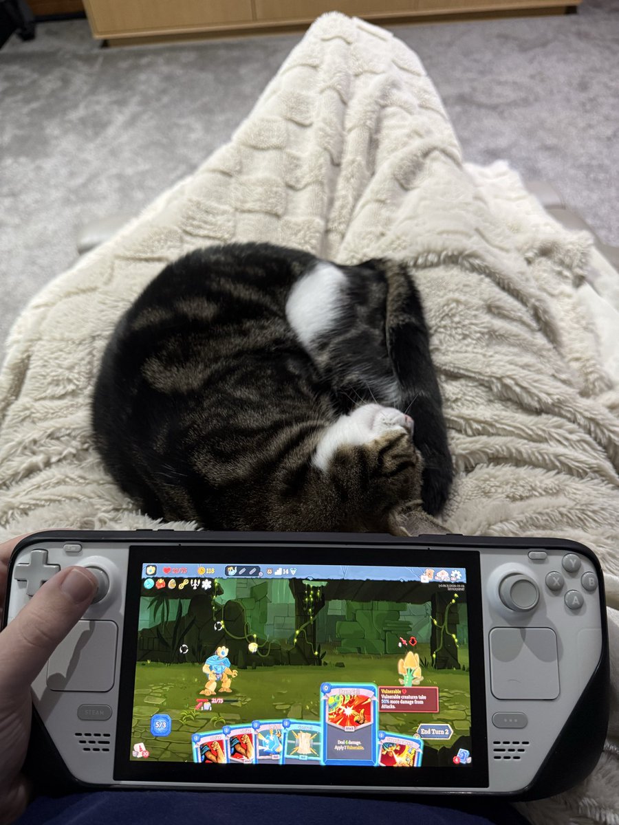 Ben Hoad tweet media