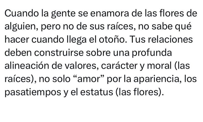 03Itvi's tweet photo. ¡Exacto! Las flores se marchitan, pero las raíces permanecen 🌳 https://t.co/thT0CLEMie