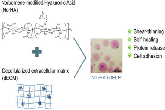 Extracellular Matrix News tweet media