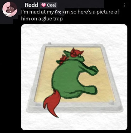 Redd 雷得 tweet media