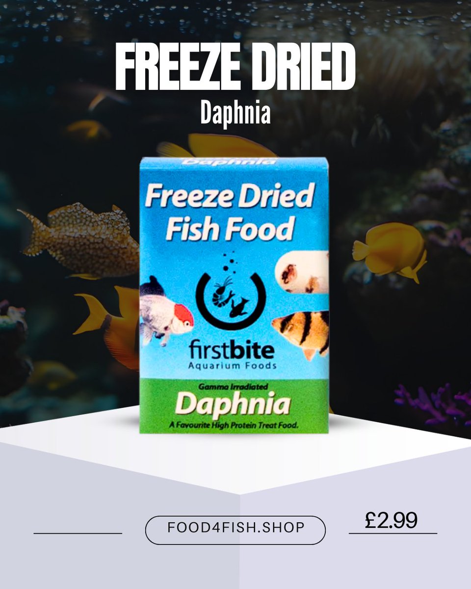 Food4Fish_'s tweet image. Give fry and small tropical or marine fish the ultimate boost with premium freeze dried Daphnia

Packed with protein, HUFA, and multi vitamins for vibrant growth and colour. Fresh, parasite free, and ready to feed 

Dive in now at food4fish.shop

#fishfood #uk #fish