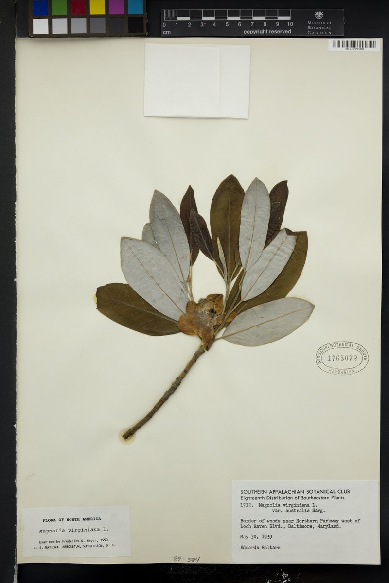 Sachs Museum at Missouri Botanical Garden tweet media