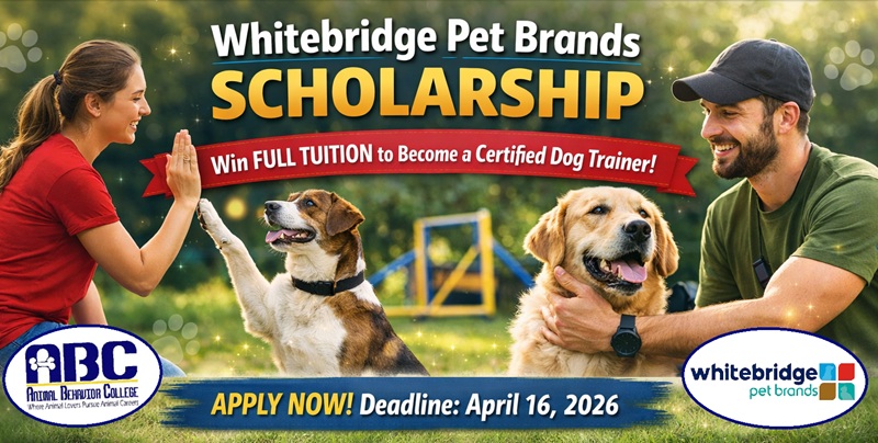 Animal Behavior College tweet media