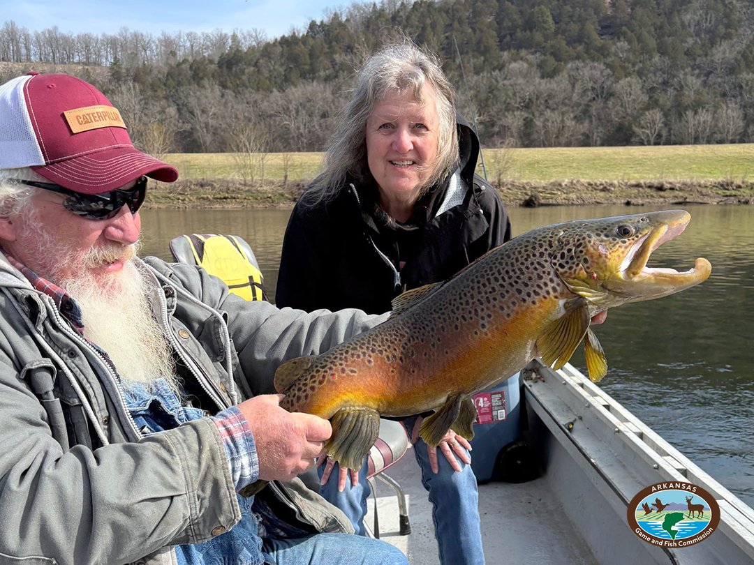 Arkansas Game and Fish Commission tweet media