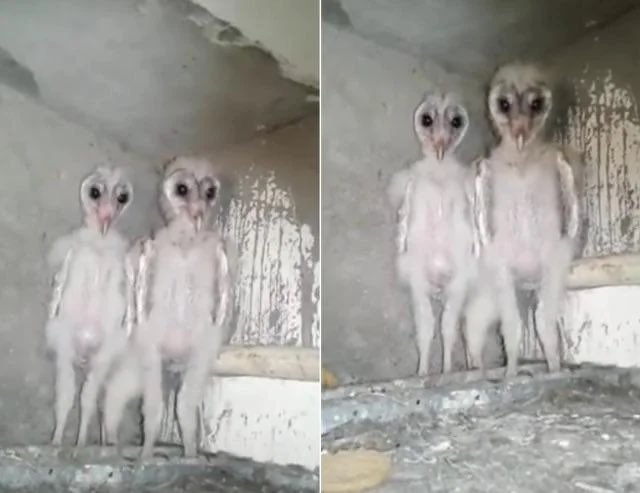 Twitch.tv/1030 tweet media