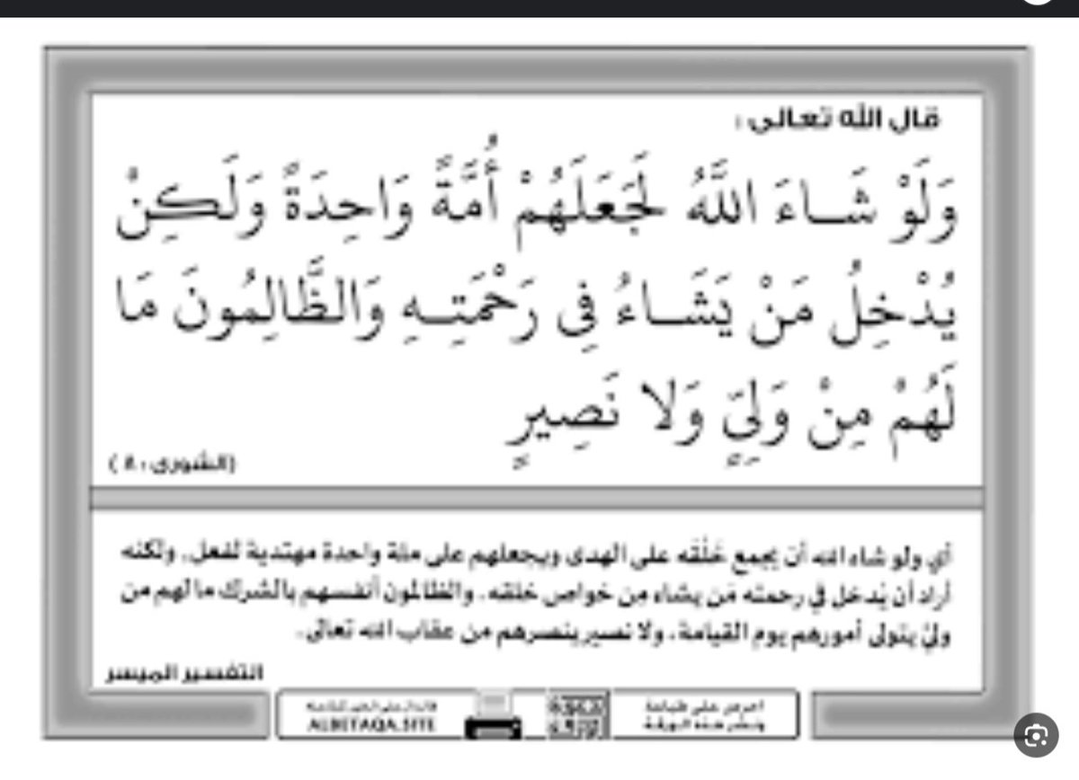 👸🏻 tweet media