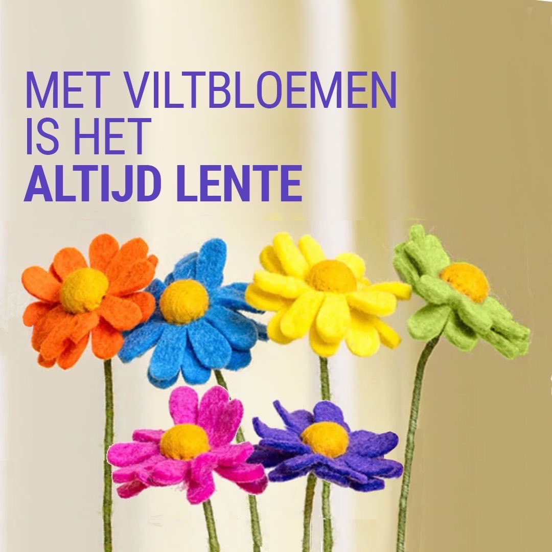 Kom naar de Wereldwinkel in Aalsmeer voor de mooiste viltbloemen van Sjaal met Verhaal. #creatingjobs #Nepal #fairtrade