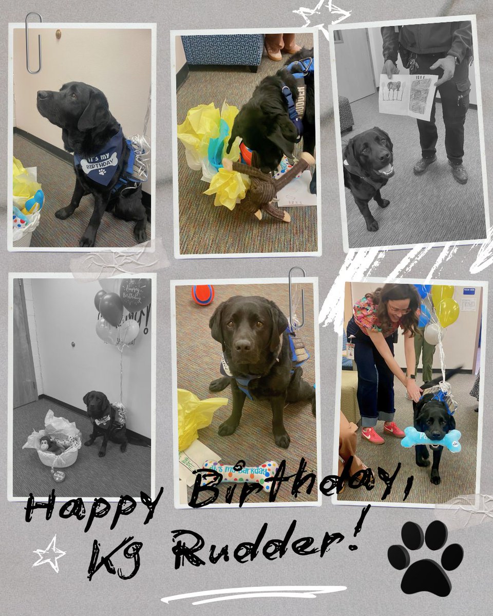 Littleton Colorado Police Department tweet media