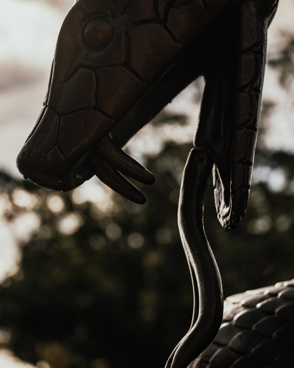 Innisbrook Resort tweet media