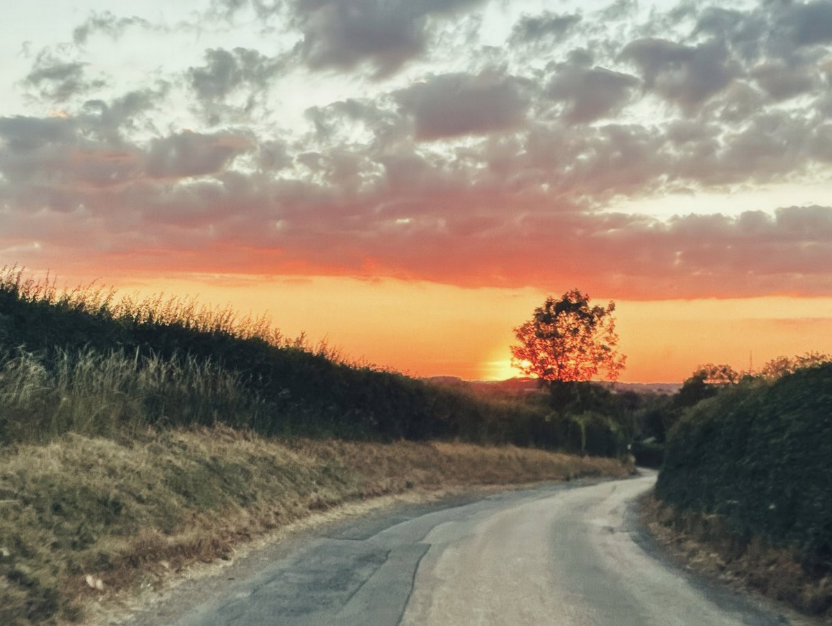 Sashelka♡🖤🩸 tweet media