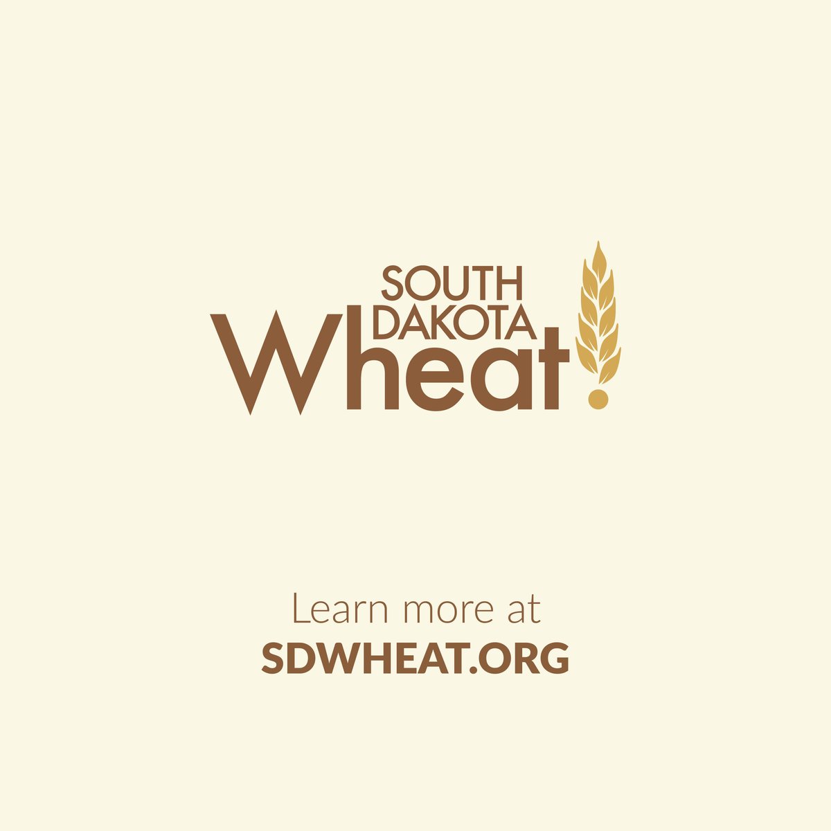 SD Wheat  tweet media
