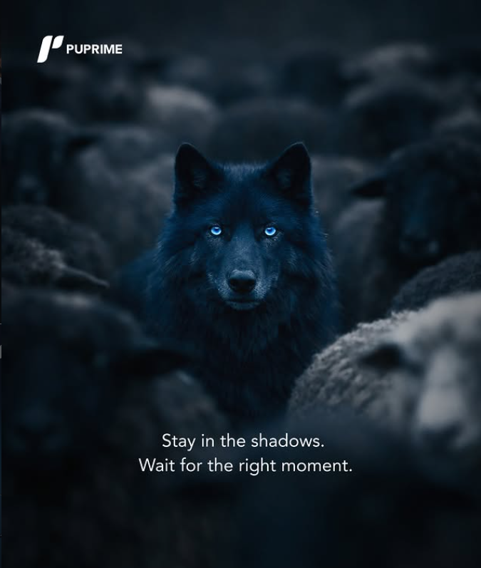 ForexBull27's tweet photo. 🐺 Trade Like a Wolf. Wait in the Shadows. Strike at the Right Moment.

The market rewards patience, discipline, and timing.
Real traders don’t chase every move — they wait for the right opportunity and enter with precision.
marter. https://t.co/hgj8rymgDs