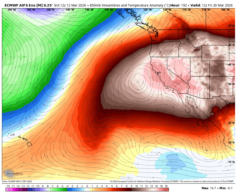 Michael Snyder tweet media