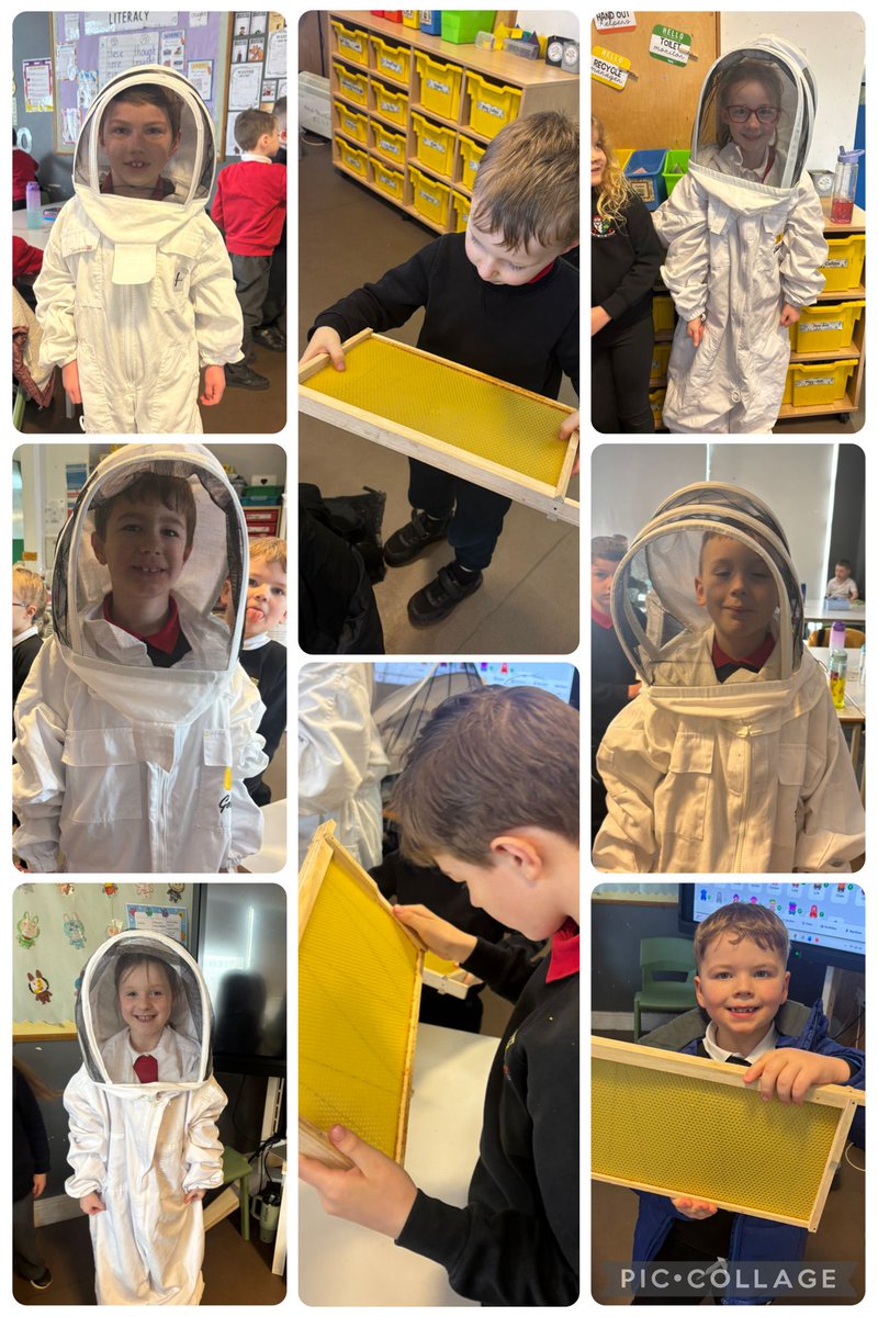 DalryPrimary's tweet photo. 🐝 P2/3 had a buzzing start to STEAM Week with Valerie the beekeeper! We discovered amazing facts about bees, explored their hives, and even tried on her uniform! 🐝✨

#STEAMWeek #Beekeeping #Bees #STEMLearning #Nature #KidsInSTEAM https://t.co/N2sNMrisEZ
