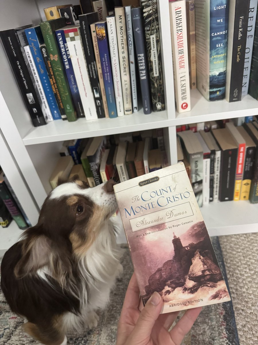 dana bryce tweet media