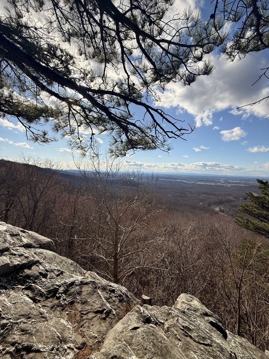 Sean McLellan tweet media